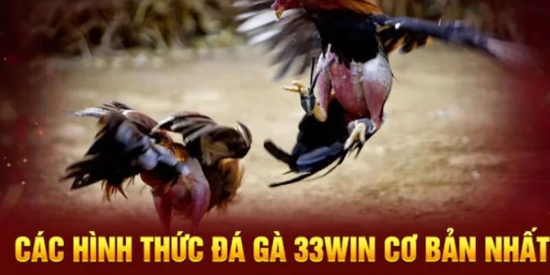 đá gà 33win có gì mà thu hút người chơi nhiều đến vậy