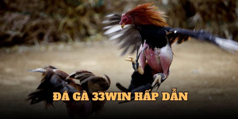 một số chiến thuật đá gà 33win đơn giản dễ áp dụng